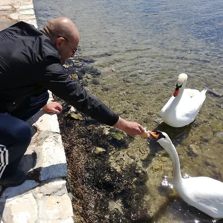 Nola * Rogoznica (Sibenik-Knin)